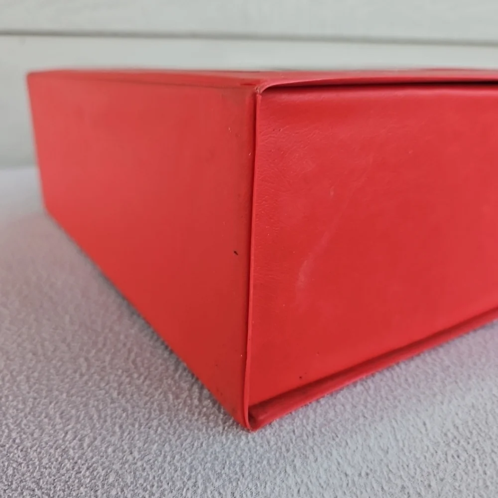 1986 The Saurus Gang Vinyl Storage Case Box Vintage Cliff Galbraith Swim Club